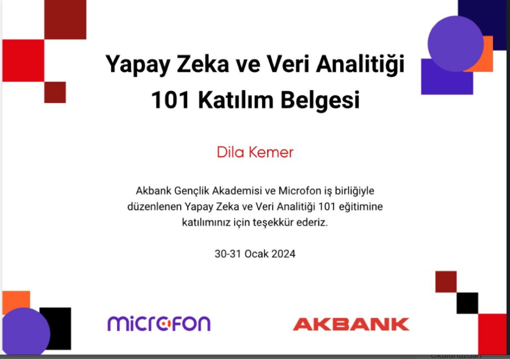 Yapay Zeka Sertifikası